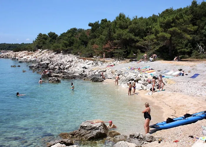 Apartman Suha Punta 5050a Kampor